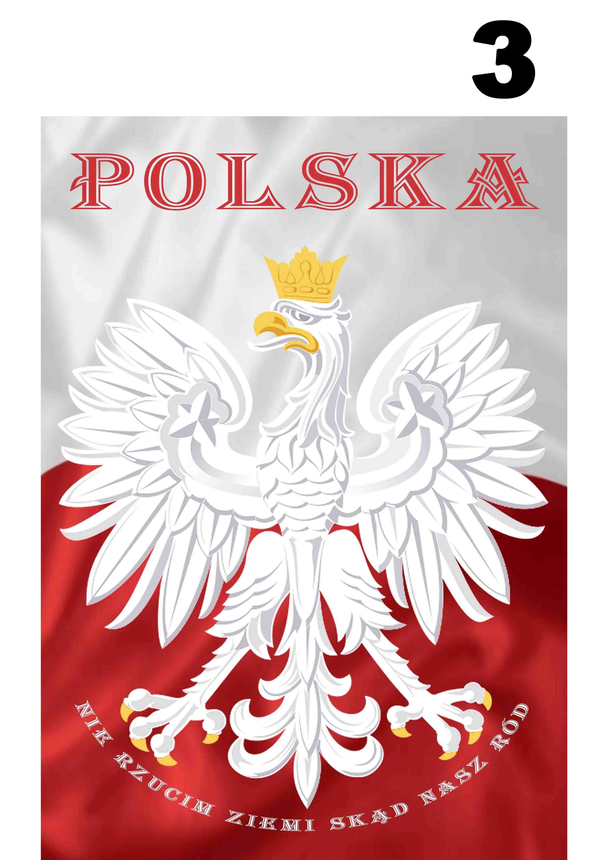 Godło Polski 3